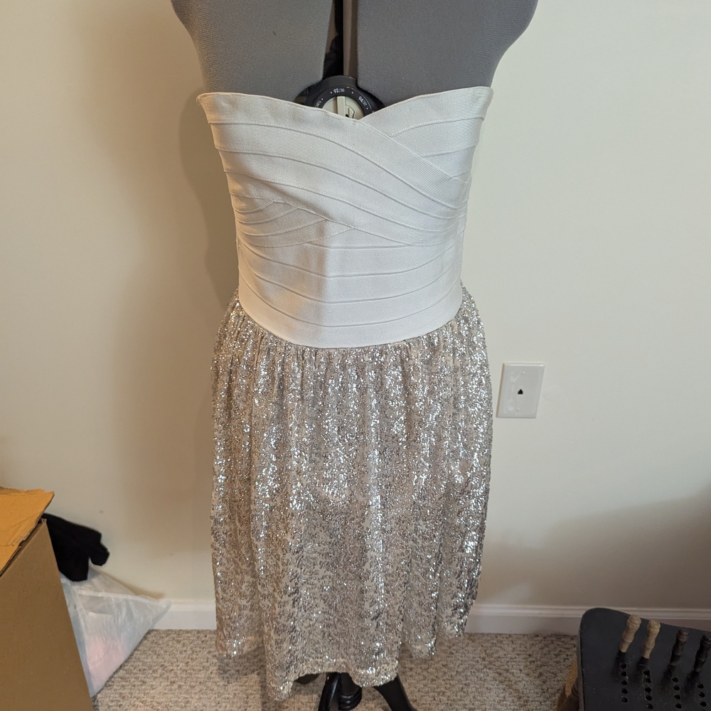 ERIN by Erin Fetherston Strapless White and Silver Dress